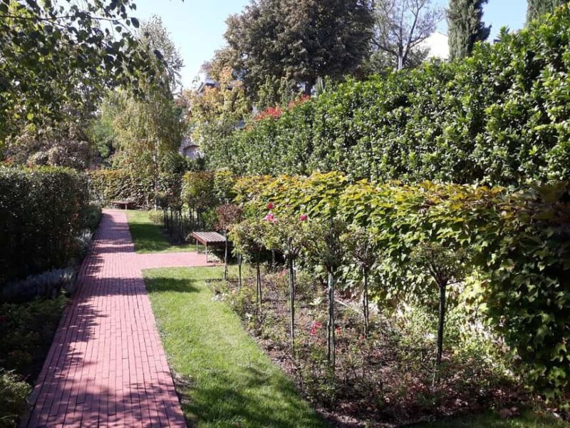 Budapest: Best Gardens Walking Tour & Folk Music Performance - Exploring Margaret Island: A Nature Lover’s Paradise