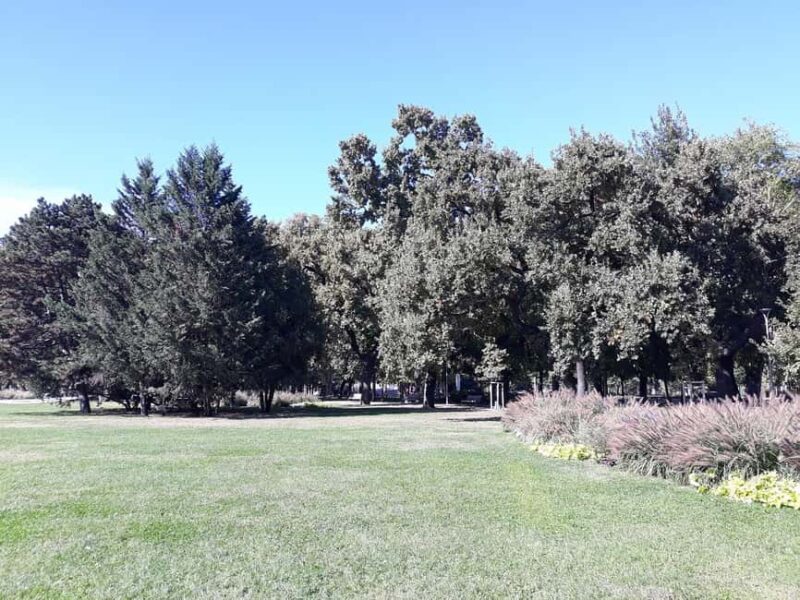 Budapest: Best Gardens Walking Tour & Folk Music Performance - Discovering Hungary’s First Botanical Garden and Floral Collections