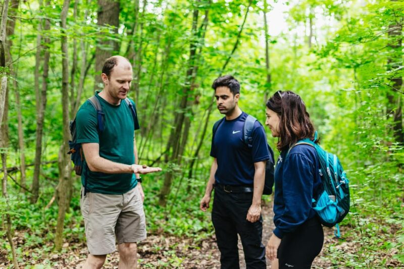 Budapest: Buda Hills Guided Hiking Tour with Optional Lunch - Key Points