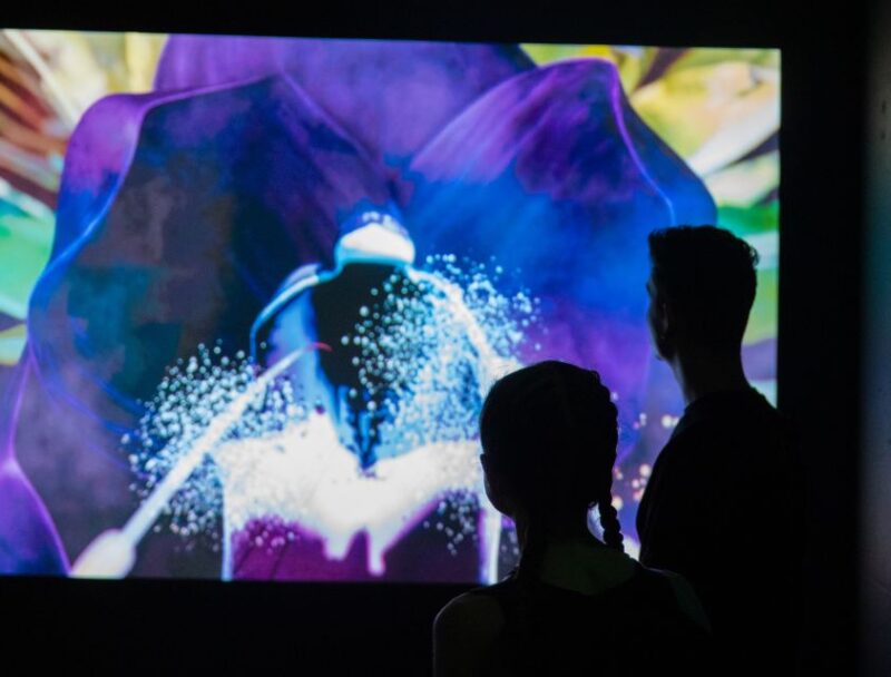 Budapest: Cinema Mystica Entry Ticket - What You See in the Different Rooms of Cinema Mystica