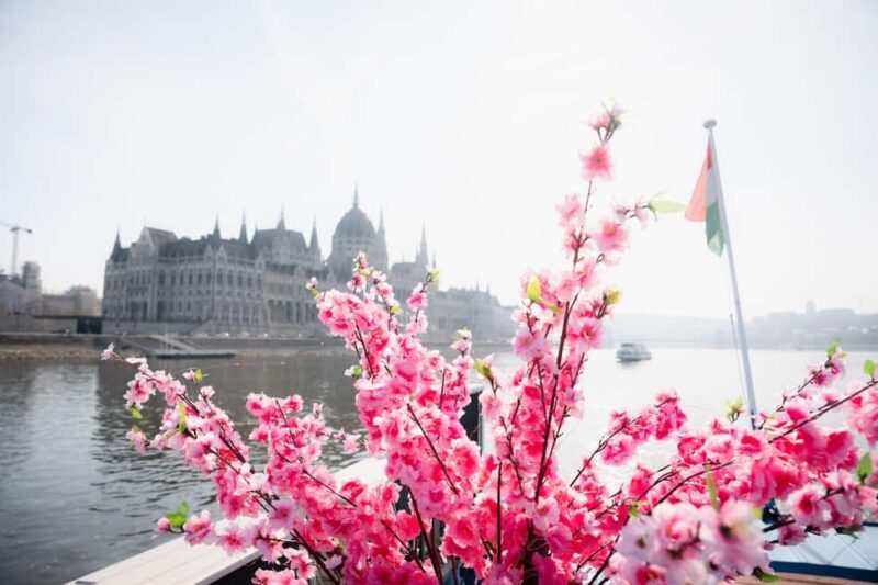 Budapest: Daytime Hop-on Hop-off Cruise with Welcome Drink - Comparing to Other Budapest River Tours