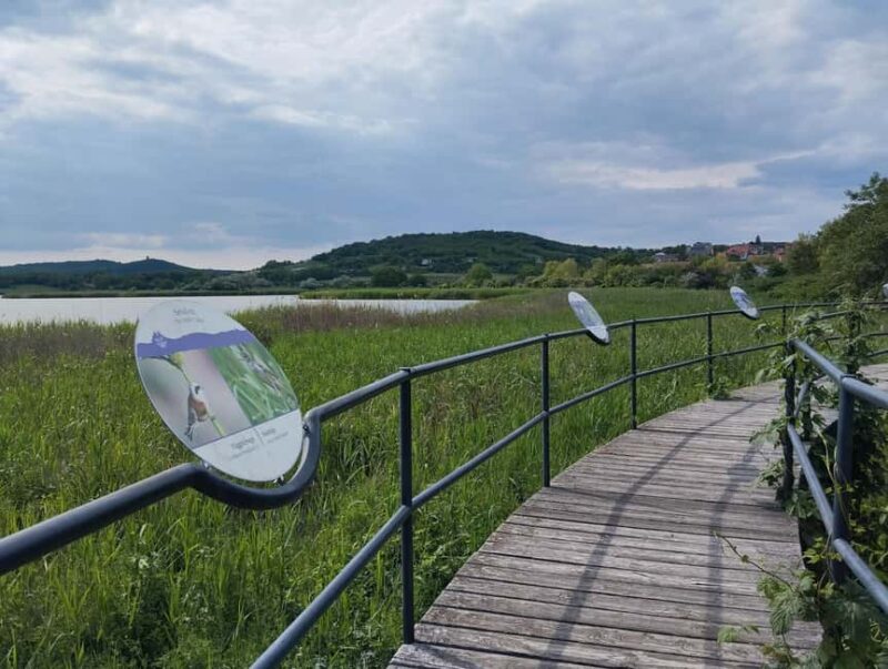 Budapest: Discover the Natural Side of Lake Balaton - The Return Journey and Final Stop at Balatonszárszó