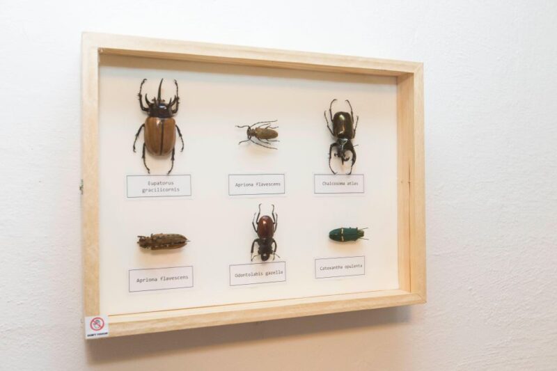 Budapest: Escape Room game, Secret Surgery - The Storyline: Stop the Mad Doctor in Budapest’s Underground Facility