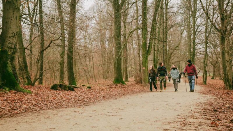 Budapest: Exoskeleton Powered Nature Hike - Comparing This Tour to Other Budapest Experiences
