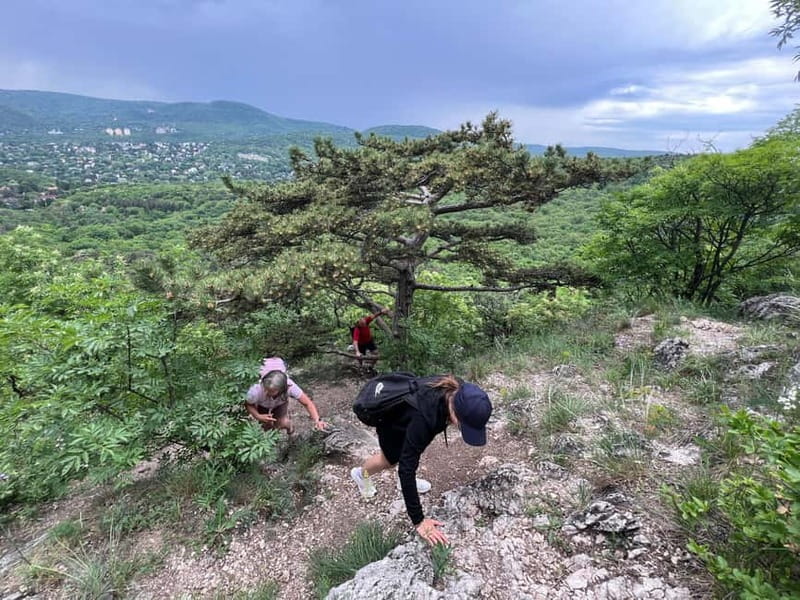 Budapest: Hiking Tour in the Buda Hills, Hármashatár Hill - Final Thoughts on the Hármashatár Hill Hike