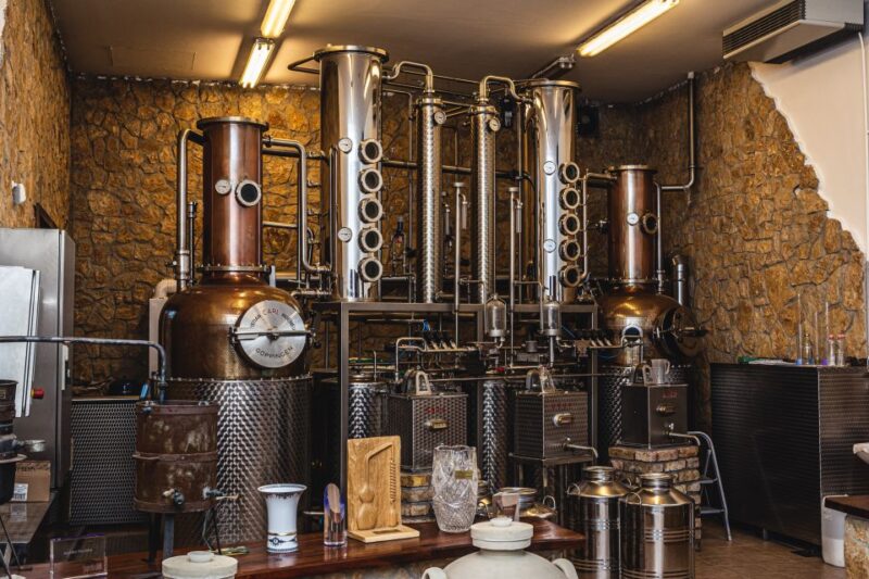 Budapest: Hungarian Whisky, Gin, and Pálinka Tasting - Timing, Pacing, and Suitability