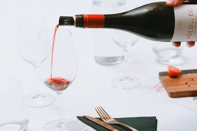 Budapest: Hungarian Wine & Food Tasting Experience - Key Points