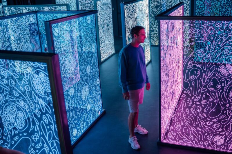 Budapest: Ikono Budapest Entry Ticket - Pacing and Crowd Levels