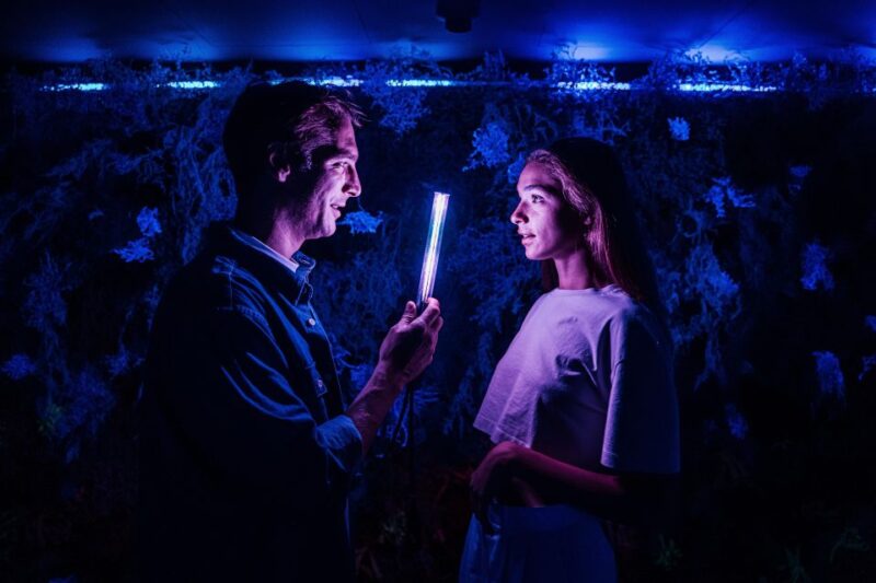 Budapest: Ikono Budapest Entry Ticket - Accessibility and Visitor Restrictions