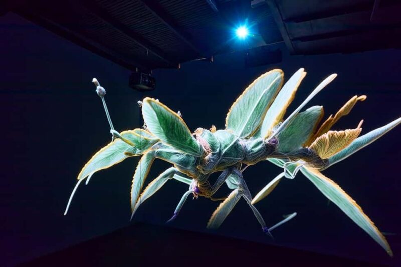 Budapest: Light Art Museum Skip-the-Line Entry Ticket - Logistics and Visiting Tips