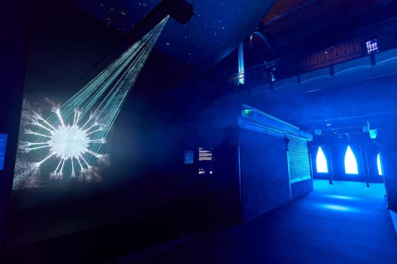 Budapest: Light Art Museum Skip-the-Line Entry Ticket - Timing, Crowd Levels, and Visiting Experience