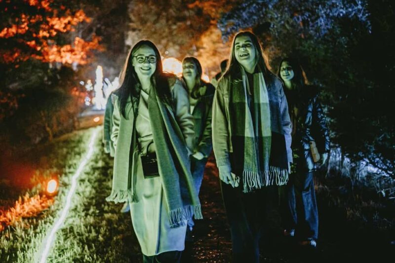 Budapest: Lumina Light Park Wonderworld Entry Ticket - Brighten Your Evening at Budapest’s Lumina Light Park Wonderworld