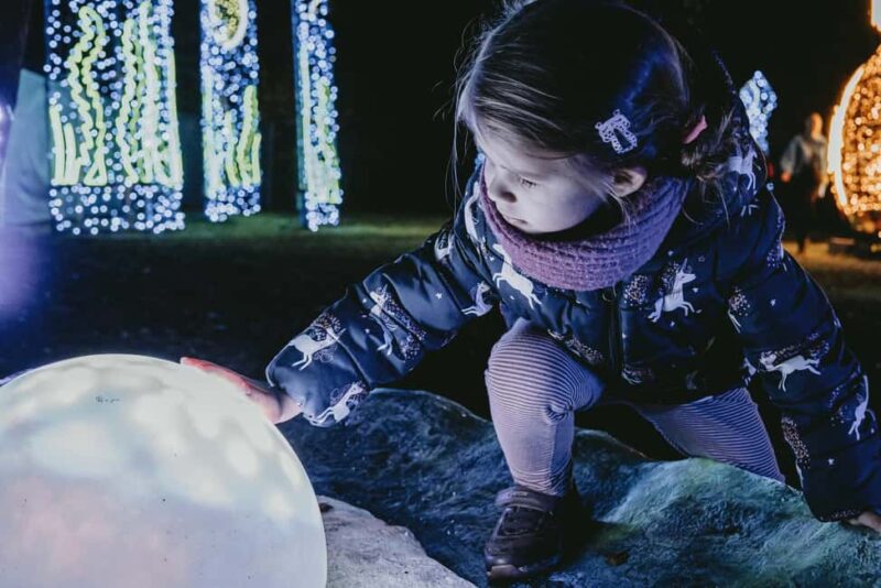 Budapest: Lumina Light Park Wonderworld Entry Ticket - The Experiences Accessibility and Suitability