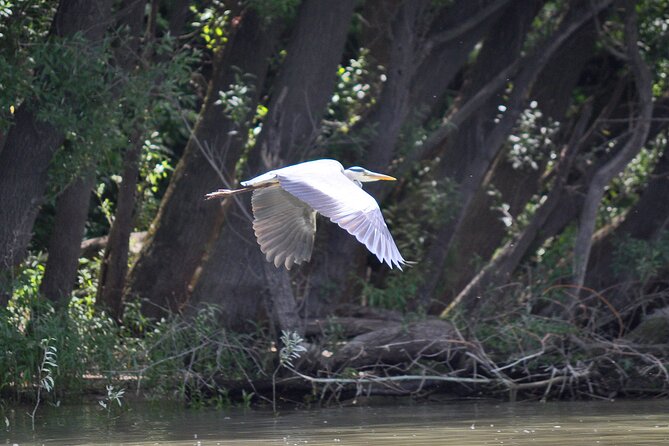 Budapest North Canoe Trip - Exploring Nature and History from the Water