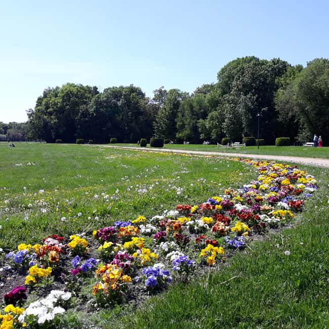 Budapest: Old Buda Walking Tour & Folk Music Performance - Accessibility and Additional Details