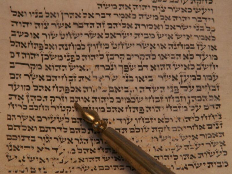 Budapest Private 3-Hour Jewish Heritage Tour - The Tree of Life and Other Memorials