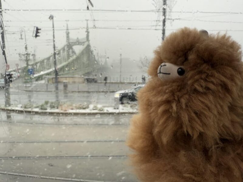 Budapest: Private 4-Hour City Tour by Car - Key Points