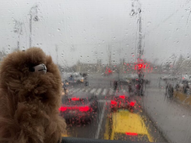 Budapest: Private 4-Hour City Tour by Car - Overview of the Budapest Private Car Tour