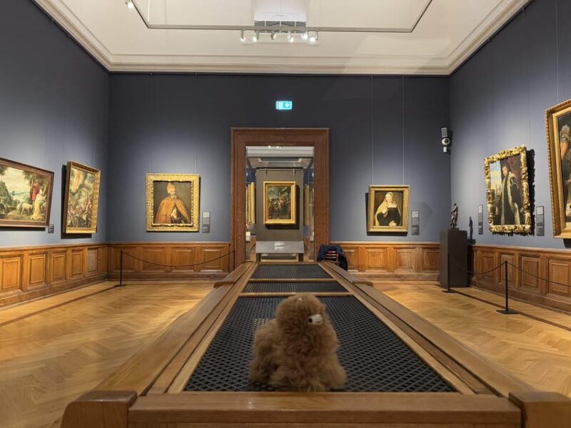 Budapest: Private 4-Hour City Tour by Car - Logistics and Accessibility