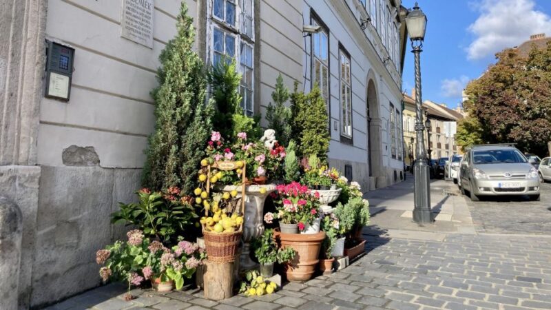 Budapest: private sightseeing tour by public transportation - Key Points