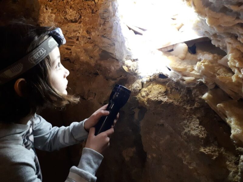 Budapest: Seml-hegyi & Pál-völgyi Caves Guided Walking Tour - Key Points