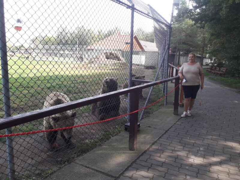 Budapest: Transport & Guided Tour of Bear and Wolf Sanctuary - Practical Details and Logistics
