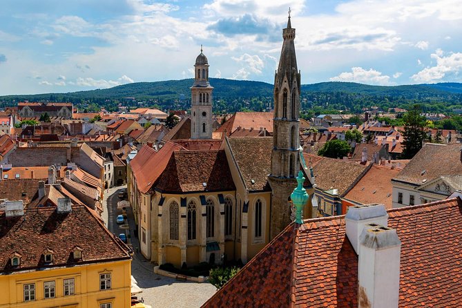 Budapest-Vienna One-Way Sightseeing Transfer - The Guide and Customer Experience