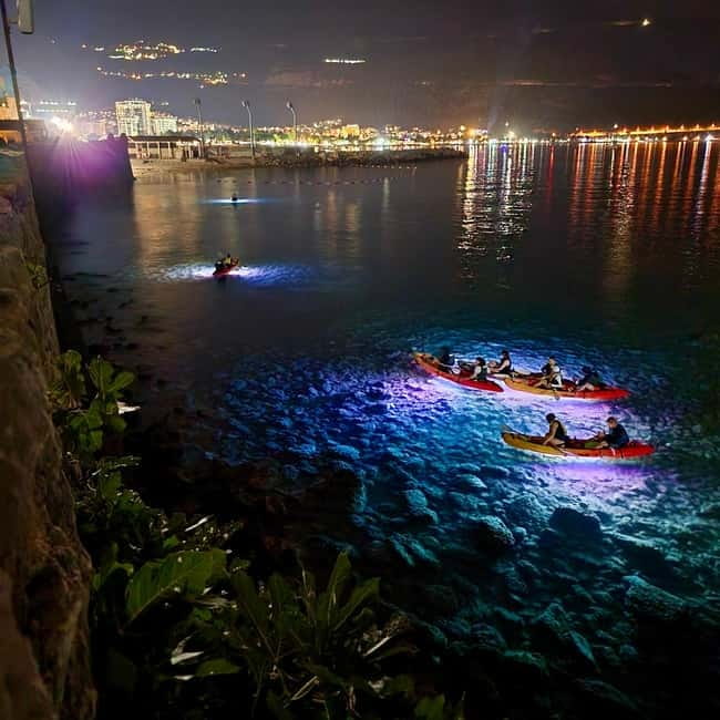Budva: 2-Hour «Night Lights» Kayak Tour - Key Points