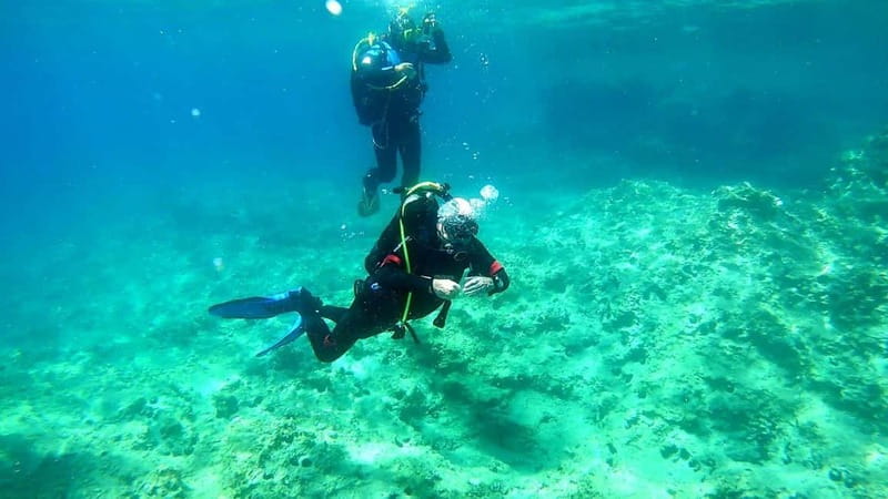 Budva Diving - Scuba Diving Experience - Key Points