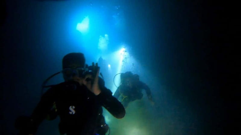 Budva Diving - Scuba Diving Experience - Dive Sites and Marine Highlights in Budva