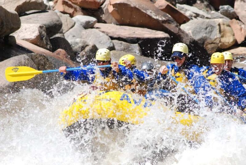Buena Vista: Browns Canyon Half-Day Whitewater Rafting Trip - Meeting at AVA Rafting & Zipline in Buena Vista