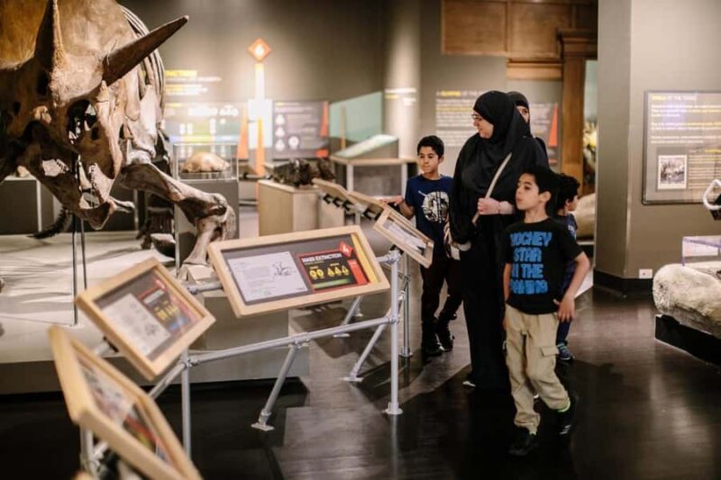 Buffalo: Admission Ticket to Buffalo Museum of Science - The SensERIE Exhibit: A Sensory Adventure for Kids