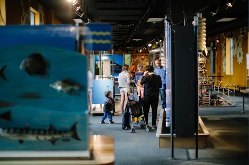 Buffalo: Admission Ticket to Buffalo Museum of Science - Live Science Stage Shows During Weekends