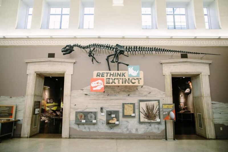 Buffalo: Admission Ticket to Buffalo Museum of Science - The Sum Up: A Well-Rounded Science Day in Buffalo