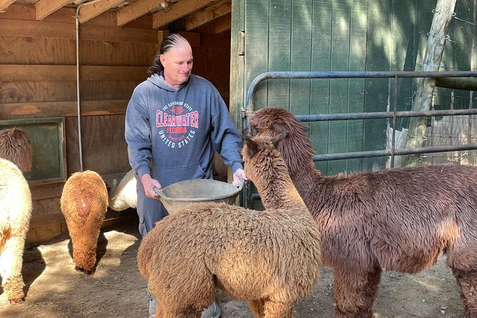 Buffalo Creek Ranch Tour Experience - Who Will Enjoy Buffalo Creek Ranch the Most