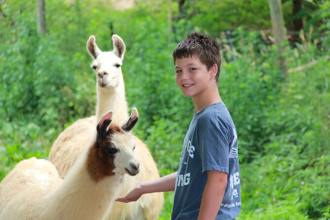 Buffalo Creek Ranch Tour Experience - The Sum Up: A Genuine Ranch Experience in Asheville