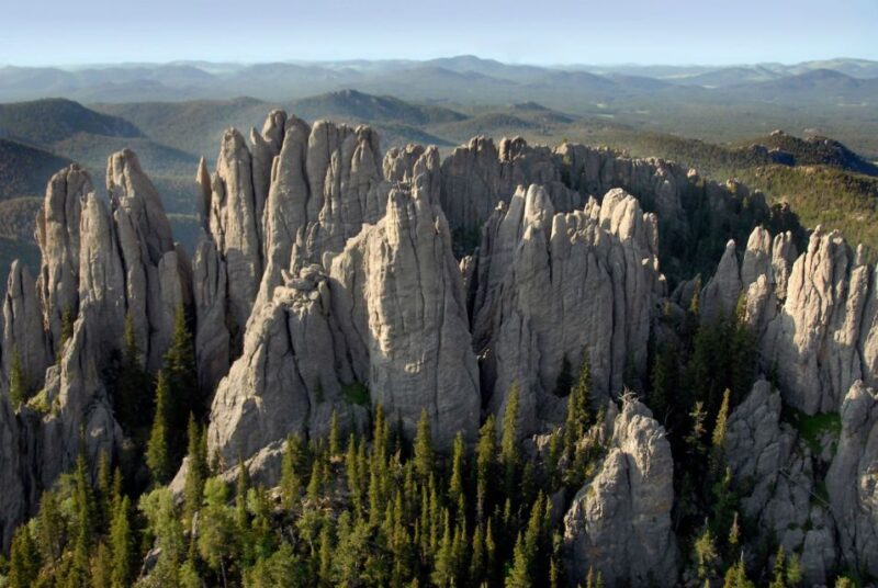 Buffalo Jeep Safari & Mammoth Site Tour - Comparing with Similar South Dakota Tours