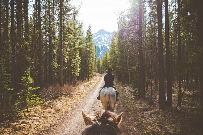 Buffalo Loop 1-Hour Horseback Trail Ride in Kananaskis - The Ranch Location and Meeting Details