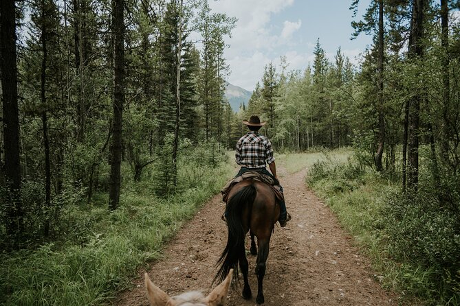 Buffalo Loop 1-Hour Horseback Trail Ride in Kananaskis - What Makes This Trail Ride Stand Out