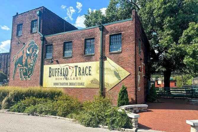 Buffalo y/ or Wiskey Thief & Churchill Twilight Racing Experience - Key Points