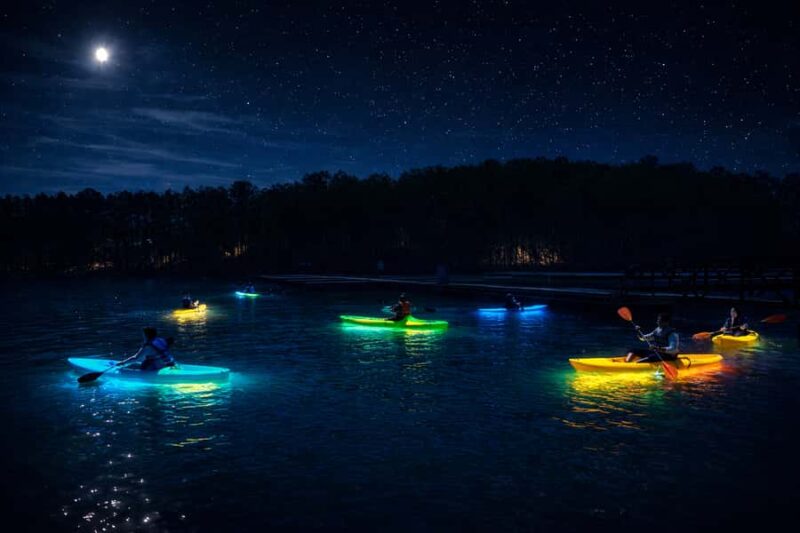 Buford: Lake Lanier Glow and Go Paddleboards & Kayaks - Easy and Relaxed Watercraft Options for Every Skill Level