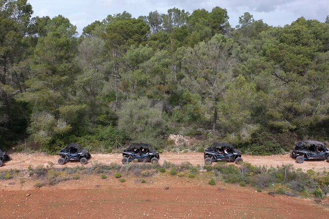 Buggy 2-seater and 4-seater Off-On Road Tour in Mallorca - Experience the Scenic Countryside of Mallorca