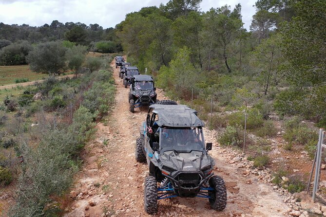 Buggy 2-seater and 4-seater Off-On Road Tour in Mallorca - Practical Tips for a Smooth Experience