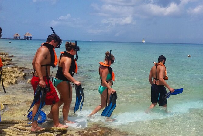 Buggy Adventure in Cozumel + Transportation from Cancún - Returning to Cancun: Drop-Off and Ferry Ride Back