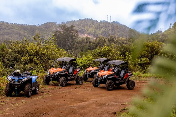 Buggy Adventure in Madeira off Road - Key Points