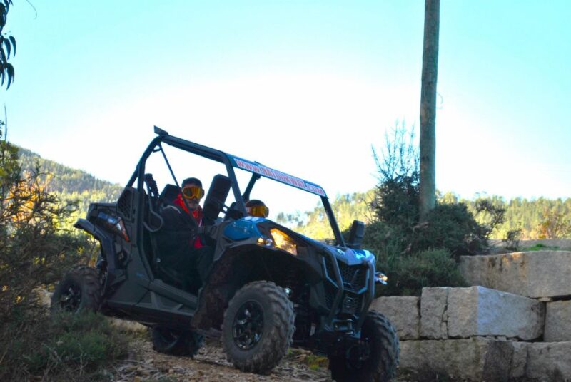 Buggy Experiences - Safety, Insurance, and Group Size