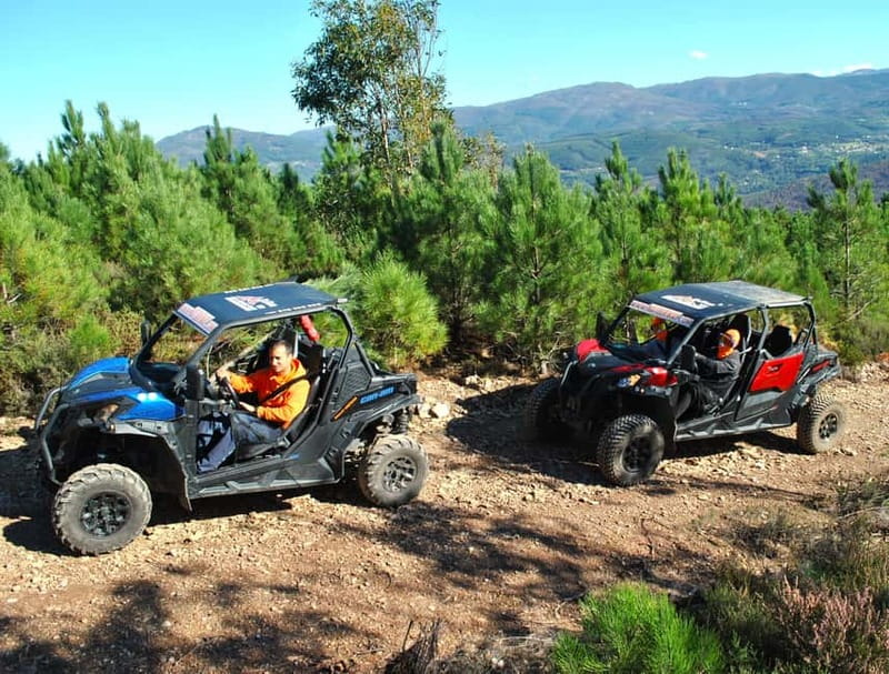 Buggy Family Experience - 60 to 120 minutes - The Guide’s Role and Local Interpretation
