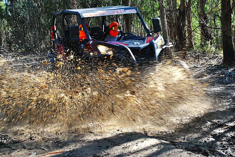 Buggy Family Experience - 60 to 120 minutes - What Sets This Tour Apart from Similar Experiences