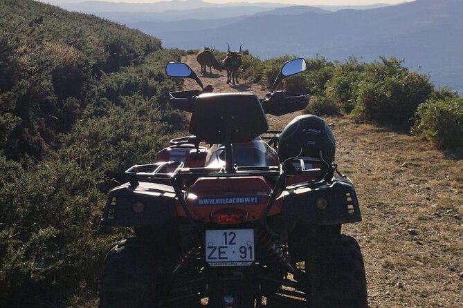 Buggy or Moto4 tour through Melgaço - Off-Road Adventure at the Wind Farm and Nature Observation