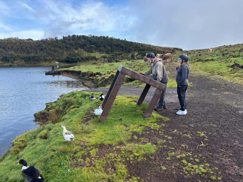 Buggy ride through the Lagoons and Casa da Montanha on Pico Island - Climbing Up to Casa da Montanha on Off-Road Trails